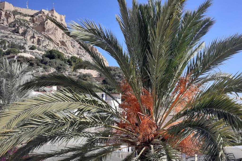 La Casita Azul Daire Alicante Dış mekan fotoğraf