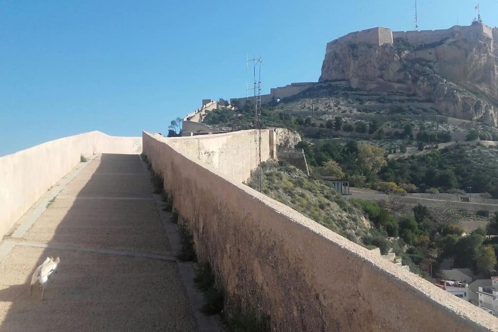 La Casita Azul Daire Alicante Dış mekan fotoğraf