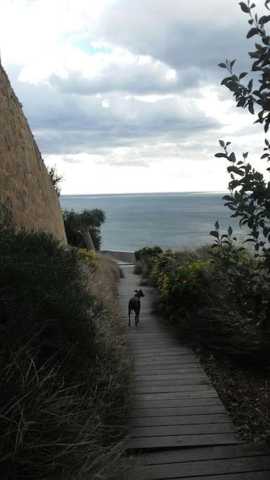 La Casita Azul Daire Alicante Dış mekan fotoğraf