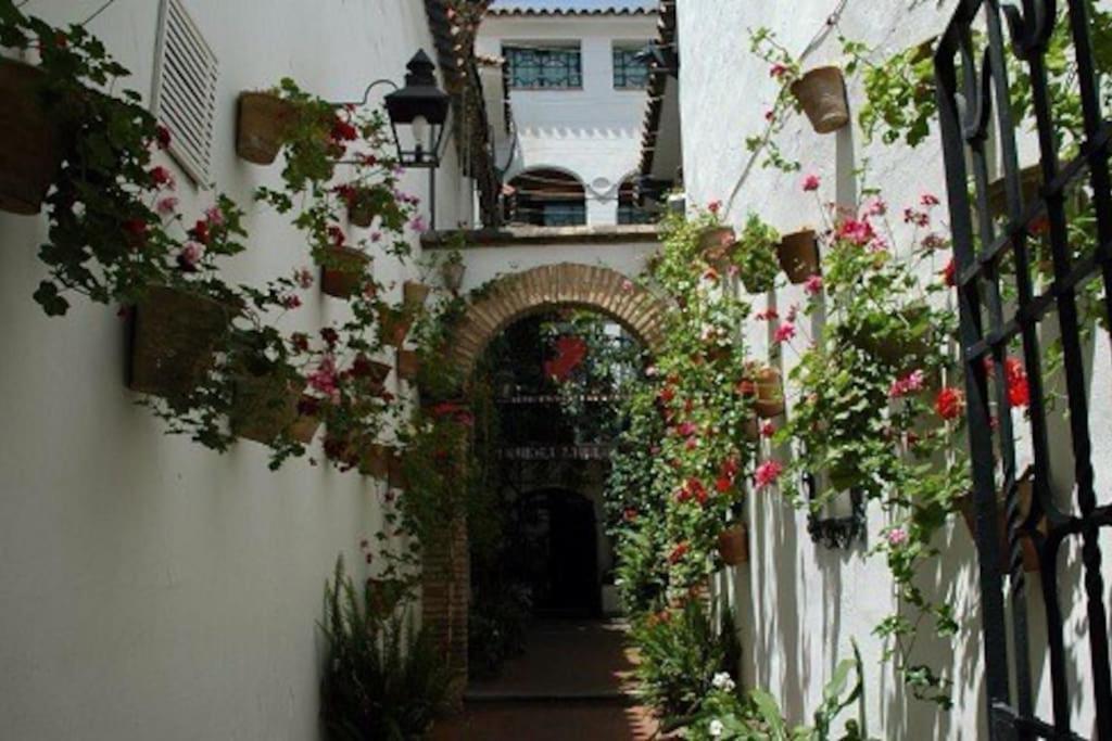 La Casita Azul Daire Alicante Dış mekan fotoğraf