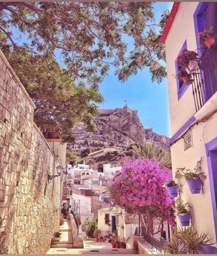 La Casita Azul Daire Alicante Dış mekan fotoğraf